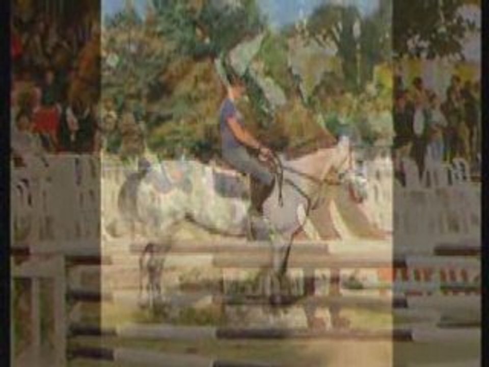 présentation de lydie de chaillac