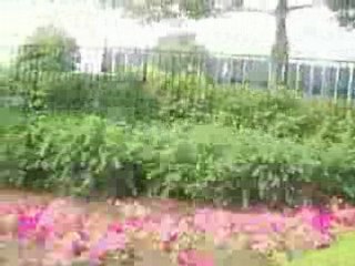 MTA TMC RTS T80206 on the B15