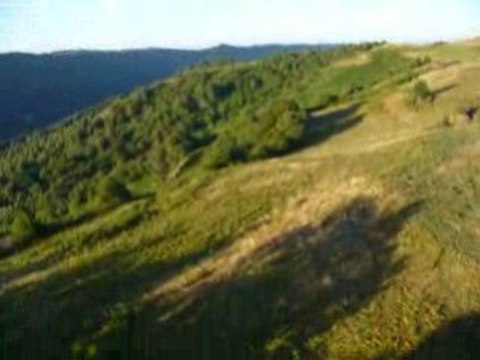 montgolfiere Vol 10 Aout - Arbres partie 2