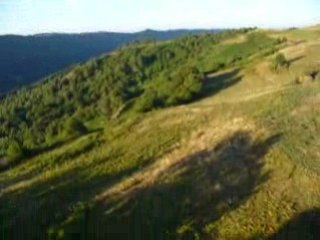 montgolfiere Vol 10 Aout - Arbres partie 2