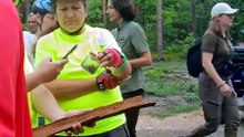 Jak leśnicy dbają o las?
