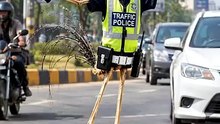 This Rooster Became a Traffic Police Officer 😂🐓🚦 _funnyanimals  _aianimals  _rooster  _animalcomedy