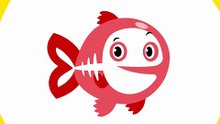 Letter X for Kids | Xantus, Xerus, Xiphias, Xiaosaurus & X-Ray Fish