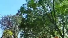 When the GPS Fails in Foz do Iguaçu | Brazil POV 4K