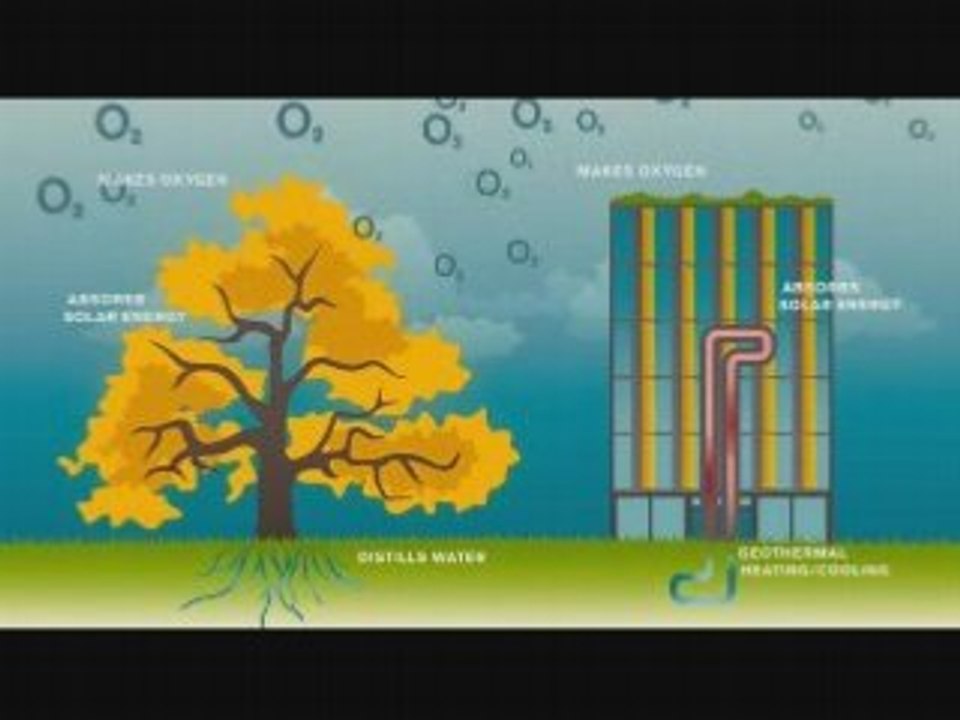 11ème heure, Le dernier virage -Conception durable-