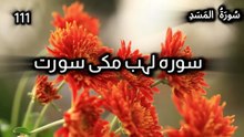 Surah Al-Masad | Chapter 111 | Quran in Urdu Translation | Tarjuma Awaz By Abdulrahim