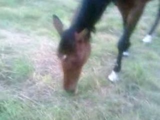 Ma tiite ju' au champs