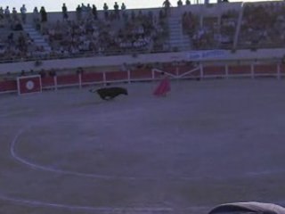 Corrida flamenca Joselito ADAME 2 oreilles