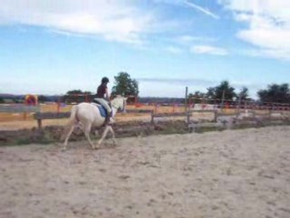 Qat-aout-2008 051
