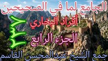 الجامع لما في الصحيحين (237)