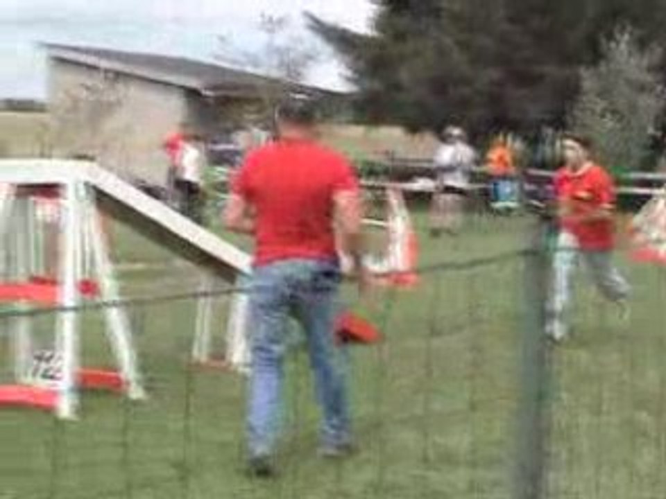 Agility (G.P.F. et Jumping du Val de Metz 2008)