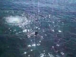 Saut de marion du rocher