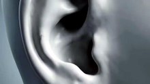 👂✈️ Ever wonder why your ears pop on a plane?
