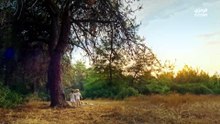 مسلسل في السابعة عشر الحلقة 18 مترجمة (2)