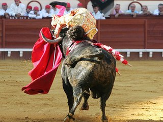 José Tomás, herido en El Puerto