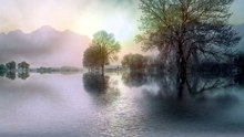 L'Aube Sereine – Musique Relaxante au Bord de la Rivière