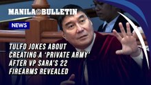 Tulfo jokes about creating a ‘private army’ after VP Sara’s 22 firearms revealed