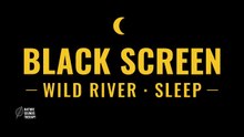 River White Noise · Bieszczady Mountain River for Sleep & Focus