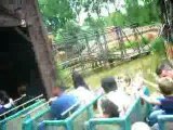 walibi francky celine wendy bob tibo train de la mine