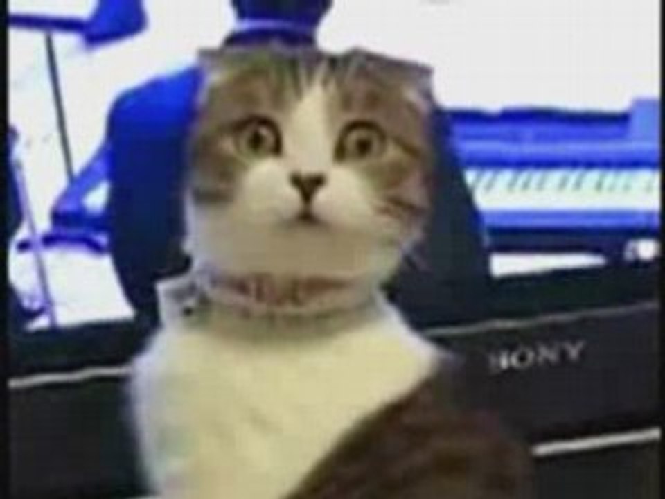 à voir absolument :)