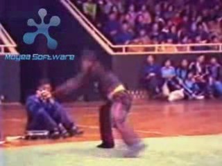 Wushu Eagle Claw Old School Style (YINGZAHO QUAN)