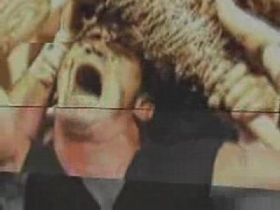 Randy Orton Titantron