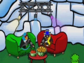 Club Penguin Coki interview