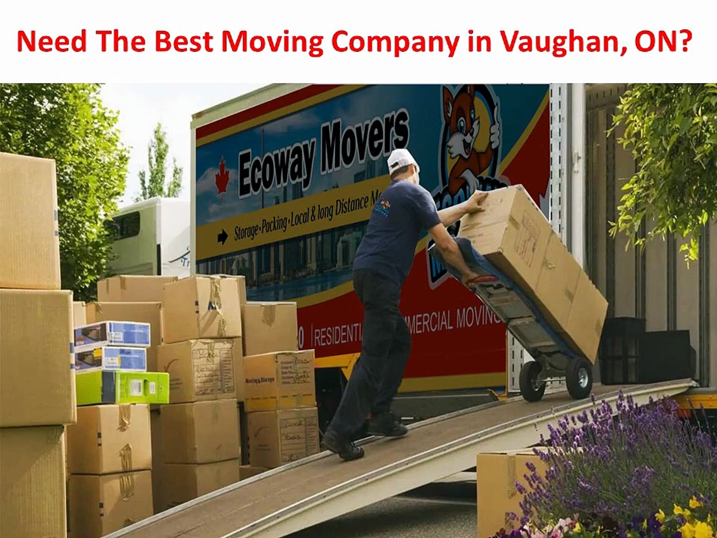 Ecoway Movers : #1 Moving Company in Vaughan, ON | 647–945–6708