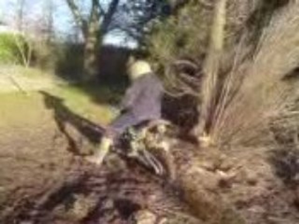 dirt bike 125cc