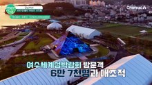 추석 연휴 40만 명 몰렸다! 북한에 나타난 3m 무태상어 '부캉이' 신드롬