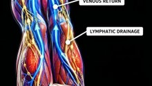 What Happens When You Raise Your Legs for 5 Minutes?