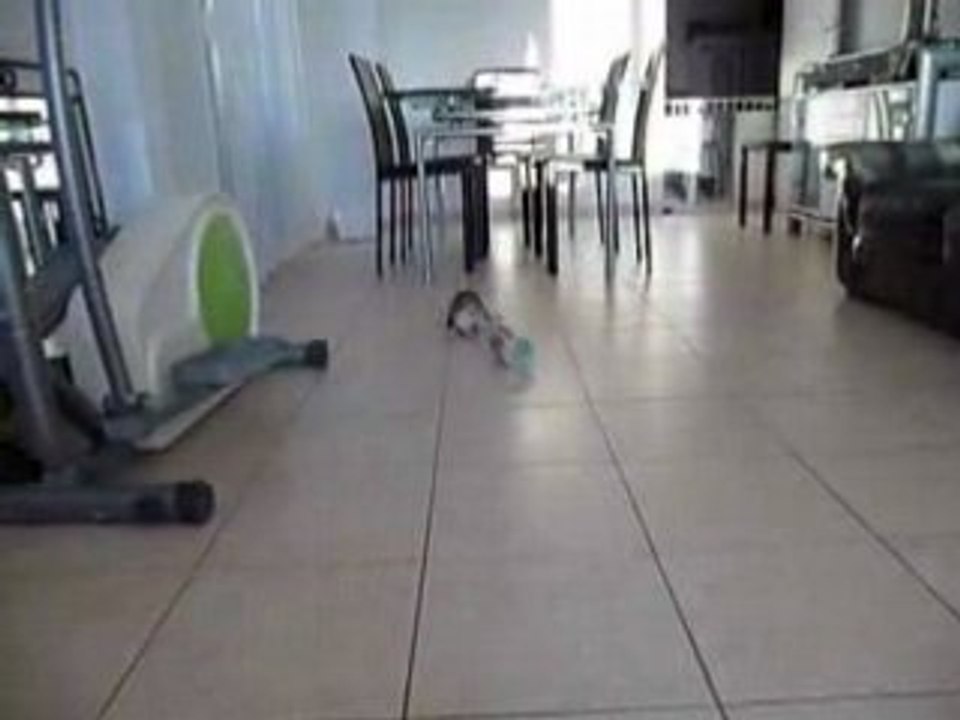 Les fufus et la bouteille vide