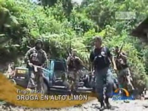 DROGA EN ALTO LIMÓN - TINGO MARÍA