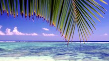 Évasion Tropicale 🌴☀️ _ Relax & Vacances