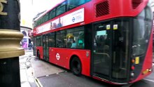 TfL fined £2m following death of pensioner struck by bus at pedestrian crossing