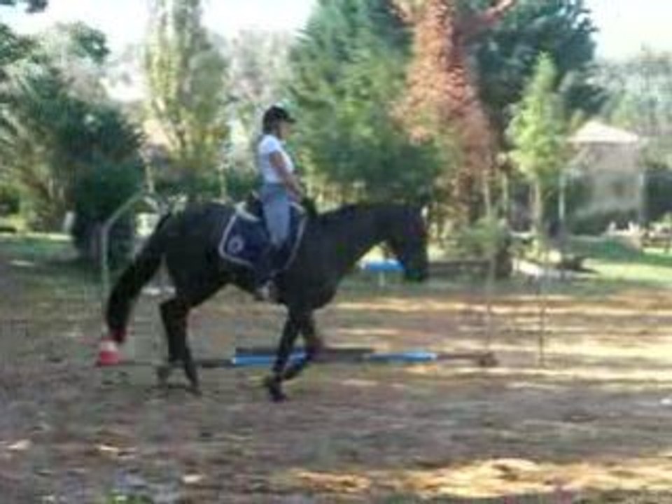 DSCN0169