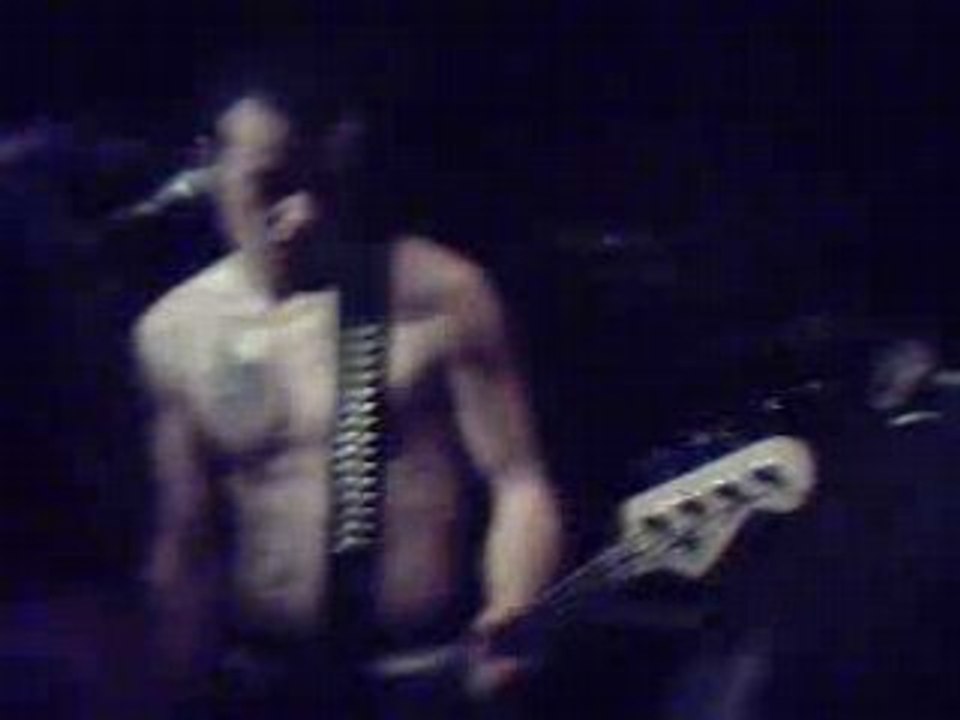 Skaotic generation - The Gerbs