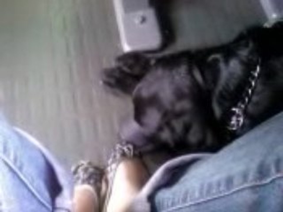 Départ vacances 2008