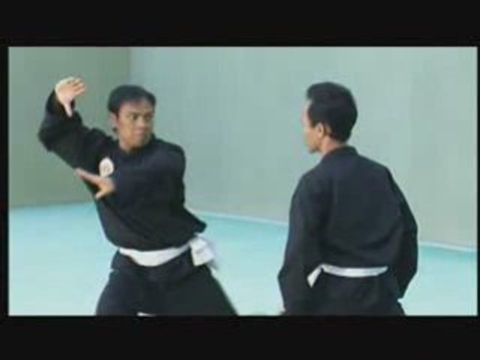 PENCAK SILAT The Ciung Wanara Fighters