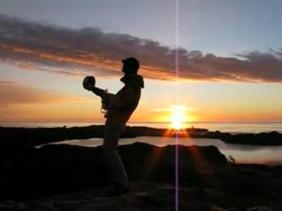 Le tueur de mouches en série