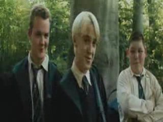 Harry Potter - You touch my tralala