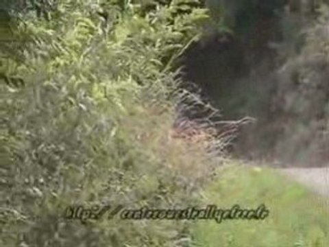 Hayet rallye de vendée 08