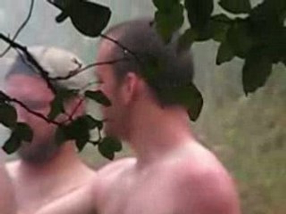 La volonté du marcel
