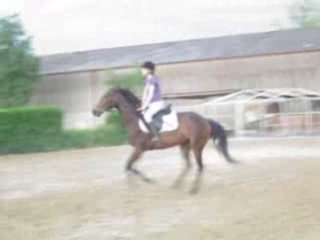 2.Quibelle et moi Vendredi 20 Juin 2008 Saut G5