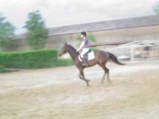 3.Quibelle et moi Vendredi 20 Juin 2008 Saut G5