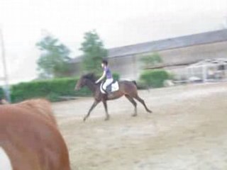 5.Quibelle et moi Vendredi 20 Juin 2008 Saut G5