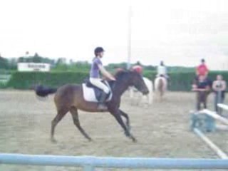 6.Quibelle et moi Vendredi 20 Juin 2008 Saut G5