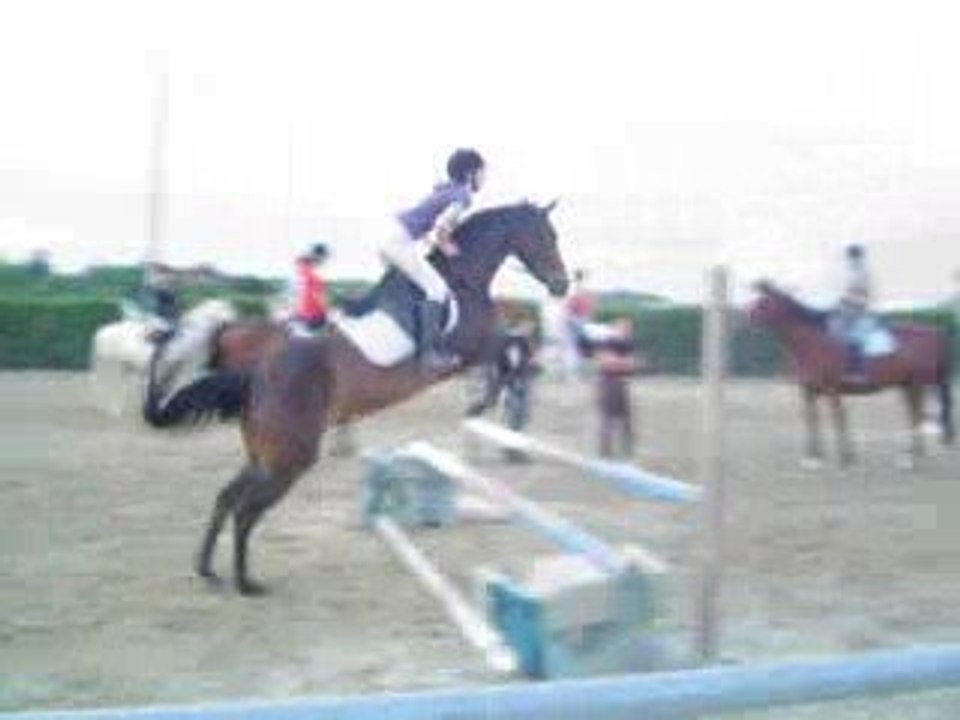 7.Quibelle et moi Vendredi 20 Juin 2008 Saut G5