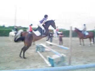 7.Quibelle et moi Vendredi 20 Juin 2008 Saut G5