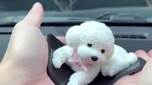 Cute Dashboard Puppy Car Decoration | Bouncy Bichon Figurine